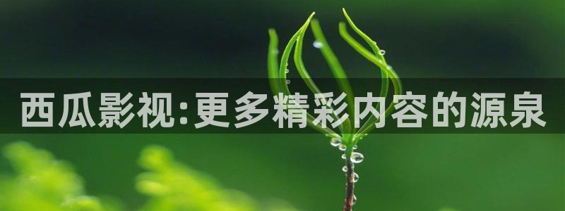 电影网被窝电影网