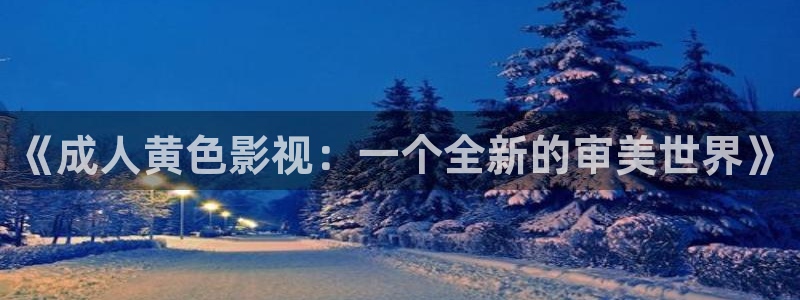 午夜极速影院被窝看片：《成人黄色影视：一个全新的审美世界》
